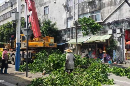 西區(qū)街道：開展全路域環(huán)境整治，助力文明城市創(chuàng)建