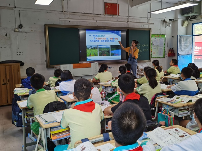 努力造高效課堂，積極謀劃促“雙減”