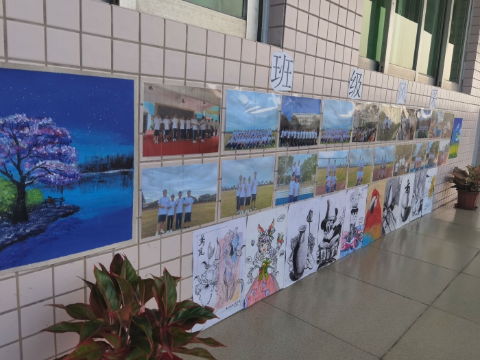 放飛青春夢(mèng)想，展示特色風(fēng)采