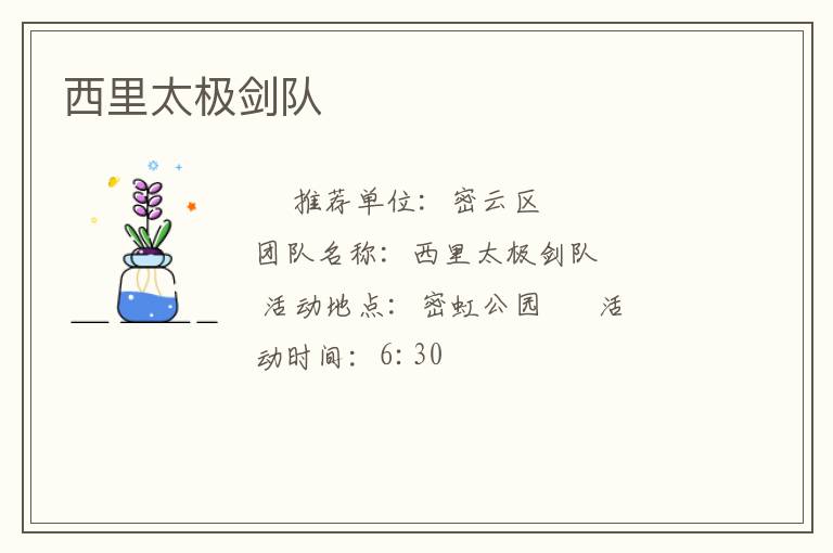 西里太極劍隊