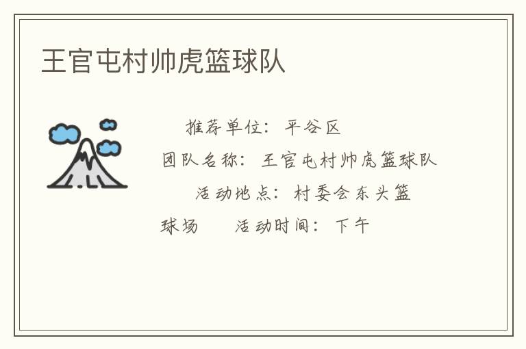 王官屯村帥虎籃球隊