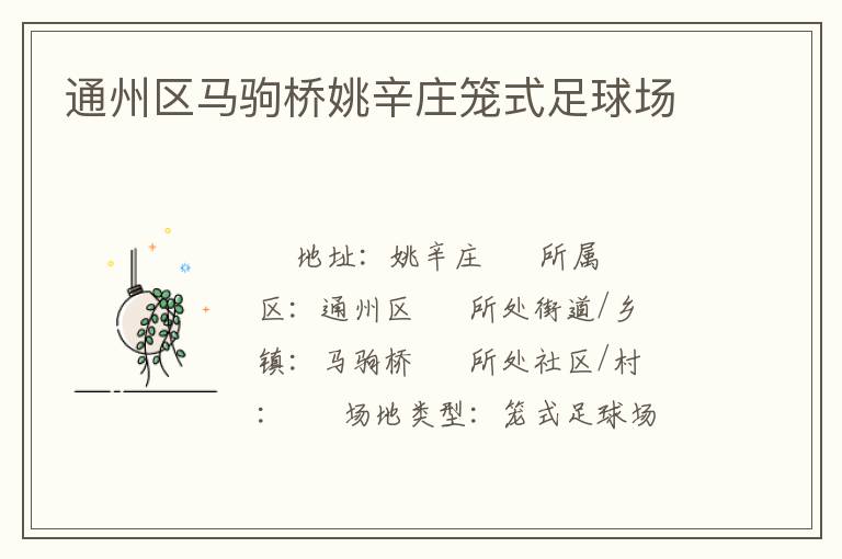 通州區(qū)馬駒橋姚辛莊籠式足球場