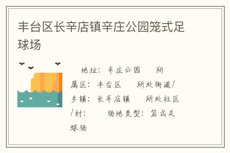 豐臺區(qū)長辛店鎮(zhèn)辛莊公園籠式足球場