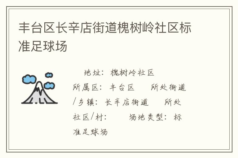 豐臺(tái)區(qū)長(zhǎng)辛店街道槐樹(shù)嶺社區(qū)標(biāo)準(zhǔn)足球場(chǎng)