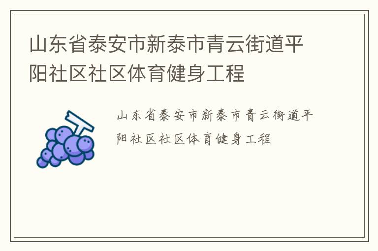 山東省泰安市新泰市青云街道平陽社區(qū)社區(qū)體育健身工程