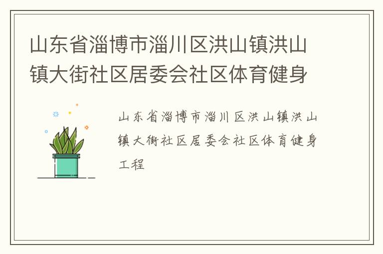 山東省淄博市淄川區(qū)洪山鎮(zhèn)洪山鎮(zhèn)大街社區(qū)居委會社區(qū)體育健身工程