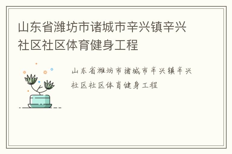 山東省濰坊市諸城市辛興鎮(zhèn)辛興社區(qū)社區(qū)體育健身工程