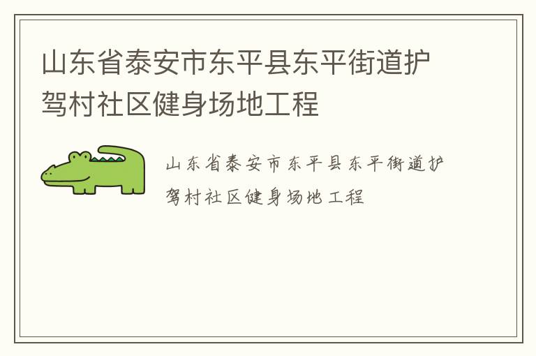 山東省泰安市東平縣東平街道護(hù)駕村社區(qū)健身場地工程