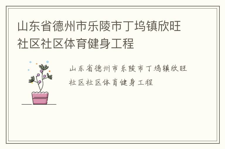 山東省德州市樂(lè)陵市丁塢鎮(zhèn)欣旺社區(qū)社區(qū)體育健身工程