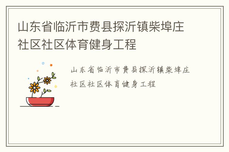 山東省臨沂市費(fèi)縣探沂鎮(zhèn)柴埠莊社區(qū)社區(qū)體育健身工程