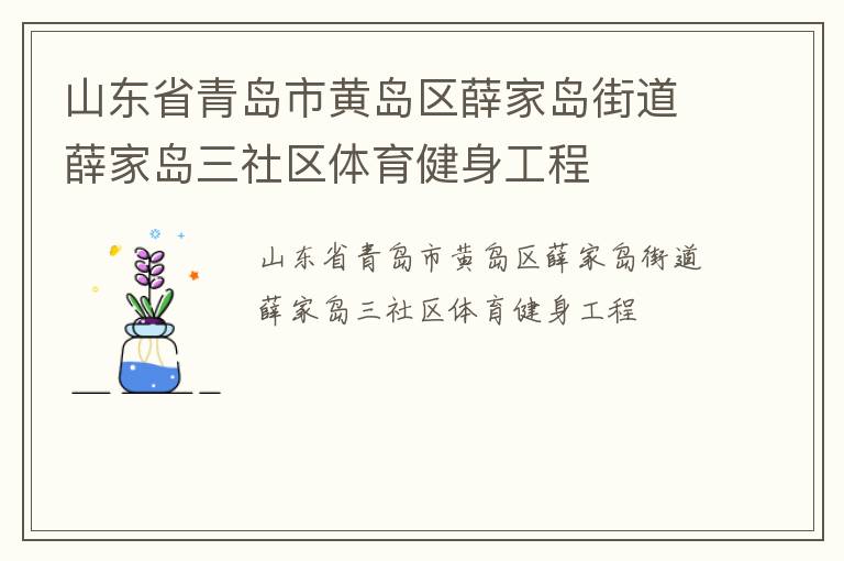 山東省青島市黃島區(qū)薛家島街道薛家島三社區(qū)體育健身工程