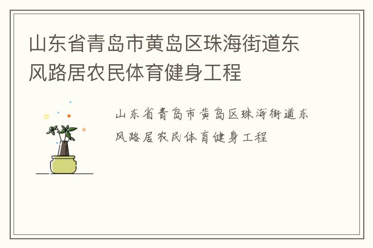 山東省青島市黃島區(qū)珠海街道東風路居農(nóng)民體育健身工程