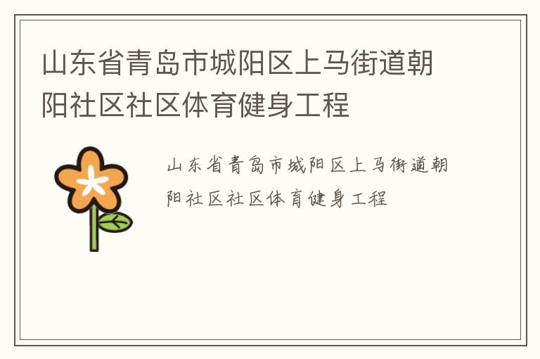 山東省青島市城陽區(qū)上馬街道朝陽社區(qū)社區(qū)體育健身工程