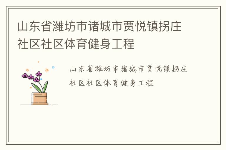 山東省濰坊市諸城市賈悅鎮(zhèn)拐莊社區(qū)社區(qū)體育健身工程