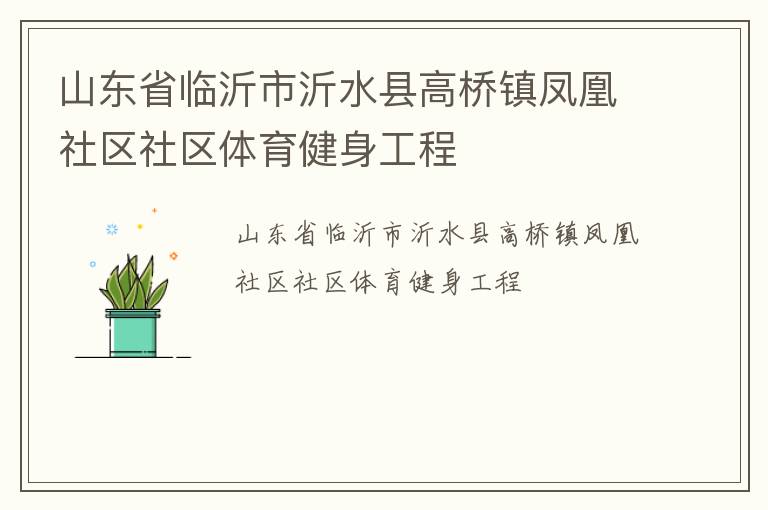 山東省臨沂市沂水縣高橋鎮(zhèn)鳳凰社區(qū)社區(qū)體育健身工程