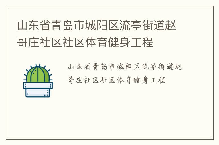 山東省青島市城陽(yáng)區(qū)流亭街道趙哥莊社區(qū)社區(qū)體育健身工程