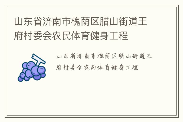山東省濟(jì)南市槐蔭區(qū)臘山街道王府村委會農(nóng)民體育健身工程