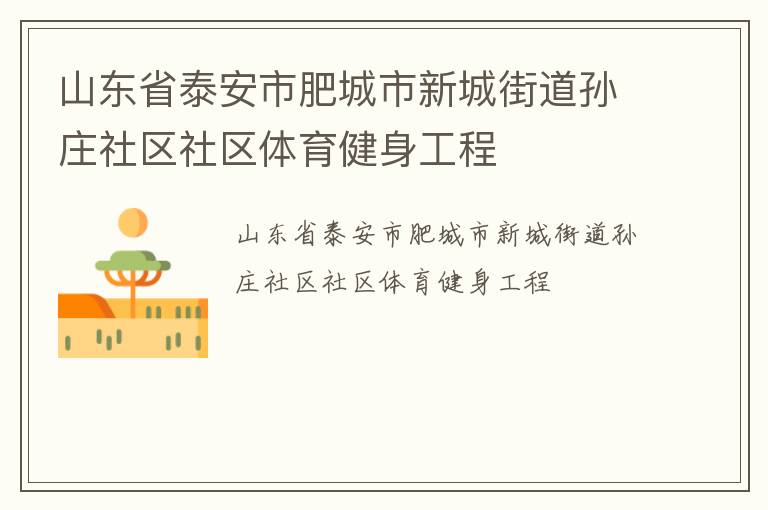 山東省泰安市肥城市新城街道孫莊社區(qū)社區(qū)體育健身工程