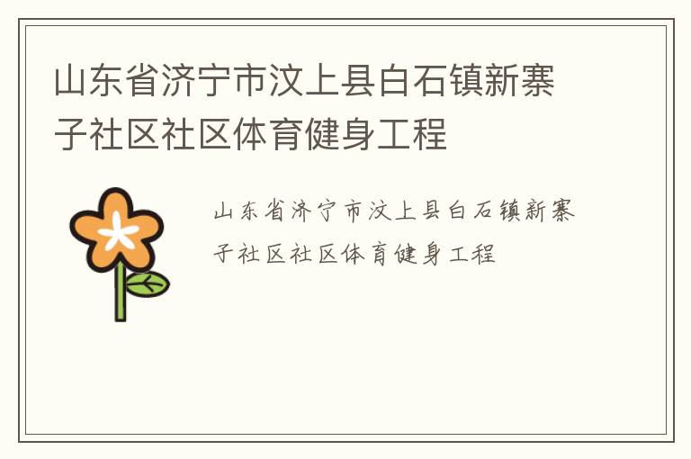 山東省濟寧市汶上縣白石鎮(zhèn)新寨子社區(qū)社區(qū)體育健身工程