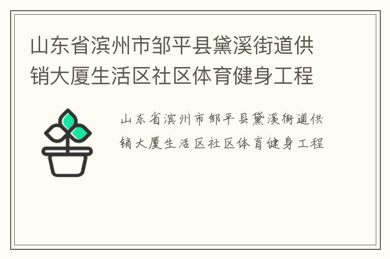 山東省濱州市鄒平縣黛溪街道供銷(xiāo)大廈生活區(qū)社區(qū)體育健身工程