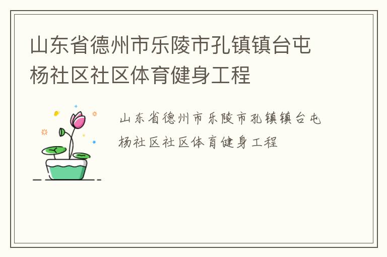 山東省德州市樂陵市孔鎮(zhèn)鎮(zhèn)臺屯楊社區(qū)社區(qū)體育健身工程