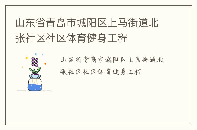 山東省青島市城陽區(qū)上馬街道北張社區(qū)社區(qū)體育健身工程