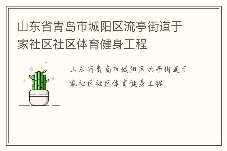 山東省青島市城陽(yáng)區(qū)流亭街道于家社區(qū)社區(qū)體育健身工程