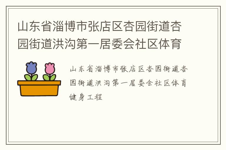 山東省淄博市張店區(qū)杏園街道杏園街道洪溝第一居委會社區(qū)體育健身工程