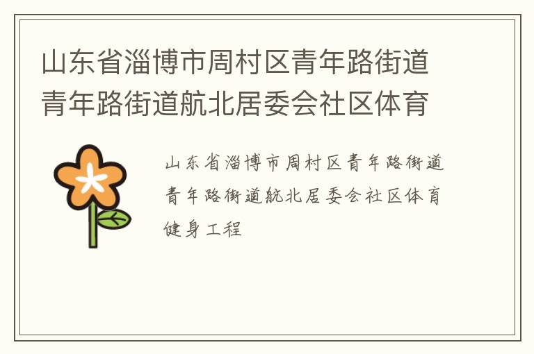 山東省淄博市周村區(qū)青年路街道青年路街道航北居委會社區(qū)體育健身工程