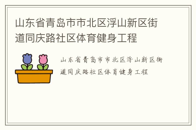 山東省青島市市北區(qū)浮山新區(qū)街道同慶路社區(qū)體育健身工程
