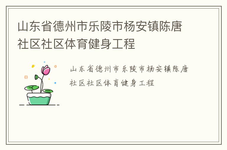 山東省德州市樂陵市楊安鎮(zhèn)陳唐社區(qū)社區(qū)體育健身工程