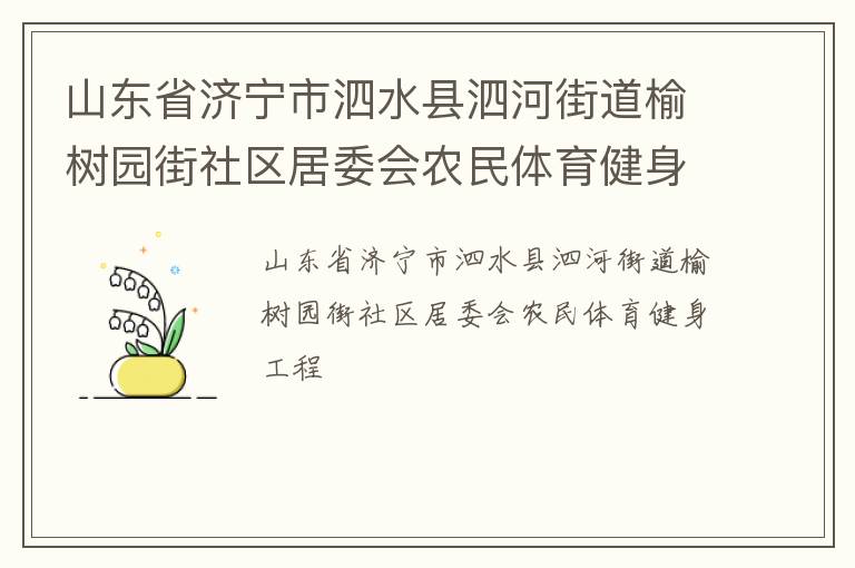 山東省濟寧市泗水縣泗河街道榆樹園街社區(qū)居委會農民體育健身工程
