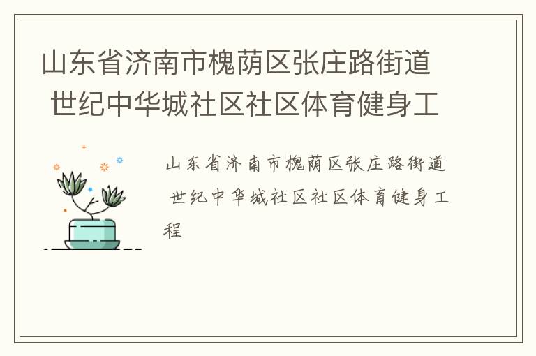 山東省濟(jì)南市槐蔭區(qū)張莊路街道 世紀(jì)中華城社區(qū)社區(qū)體育健身工程
