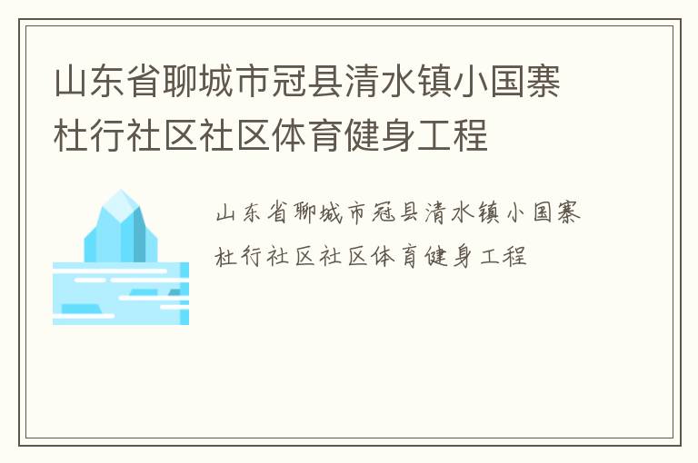 山東省聊城市冠縣清水鎮(zhèn)小國(guó)寨杜行社區(qū)社區(qū)體育健身工程