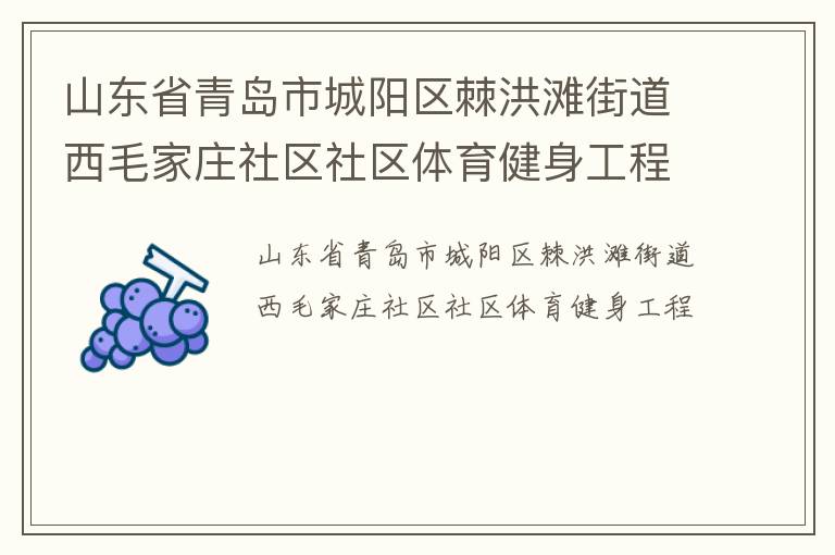 山東省青島市城陽區(qū)棘洪灘街道西毛家莊社區(qū)社區(qū)體育健身工程
