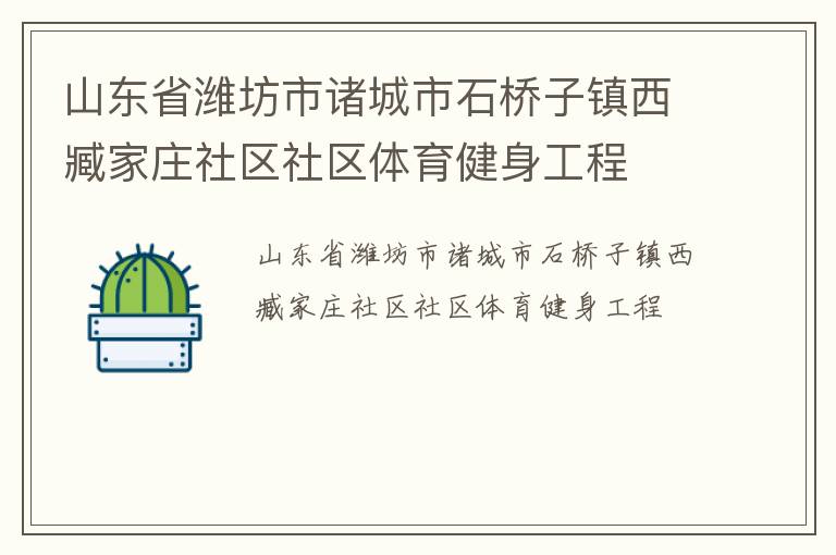 山東省濰坊市諸城市石橋子鎮(zhèn)西臧家莊社區(qū)社區(qū)體育健身工程