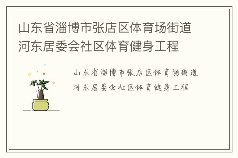 山東省淄博市張店區(qū)體育場(chǎng)街道河?xùn)|居委會(huì)社區(qū)體育健身工程