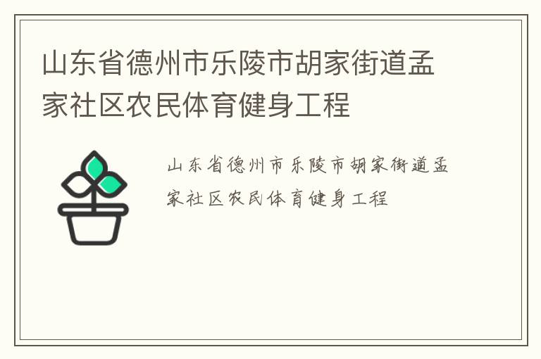 山東省德州市樂陵市胡家街道孟家社區(qū)農(nóng)民體育健身工程