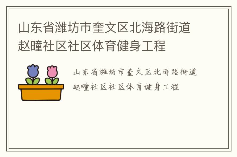 山東省濰坊市奎文區(qū)北海路街道趙疃社區(qū)社區(qū)體育健身工程