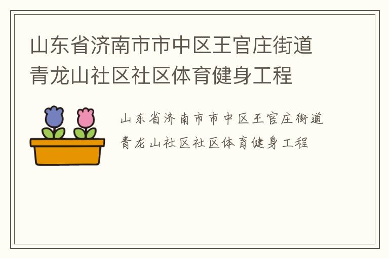 山東省濟(jì)南市市中區(qū)王官莊街道青龍山社區(qū)社區(qū)體育健身工程