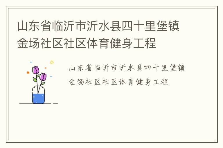 山東省臨沂市沂水縣四十里堡鎮(zhèn)金場社區(qū)社區(qū)體育健身工程