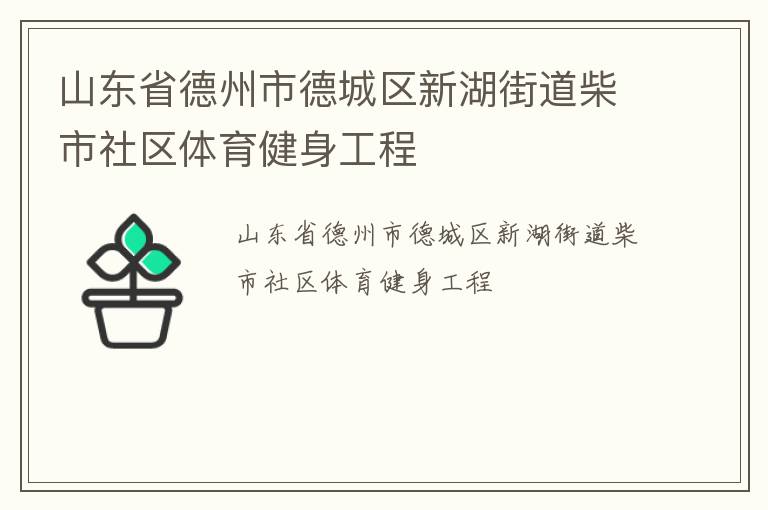 山東省德州市德城區(qū)新湖街道柴市社區(qū)體育健身工程