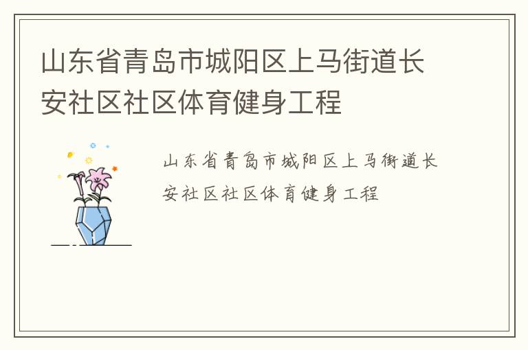 山東省青島市城陽區(qū)上馬街道長安社區(qū)社區(qū)體育健身工程