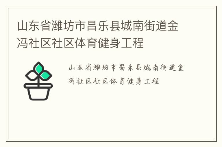 山東省濰坊市昌樂(lè)縣城南街道金馮社區(qū)社區(qū)體育健身工程