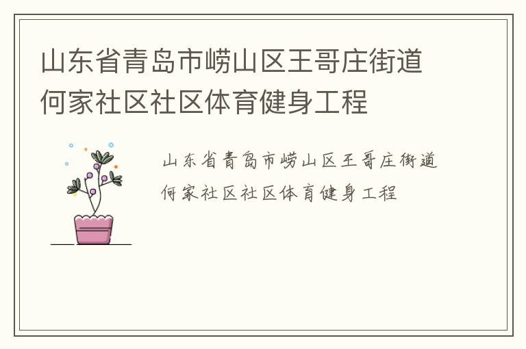 山東省青島市嶗山區(qū)王哥莊街道何家社區(qū)社區(qū)體育健身工程