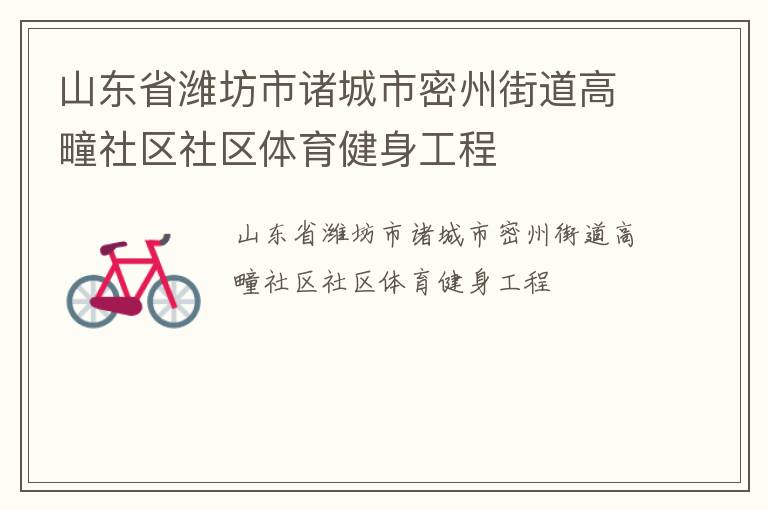 山東省濰坊市諸城市密州街道高疃社區(qū)社區(qū)體育健身工程