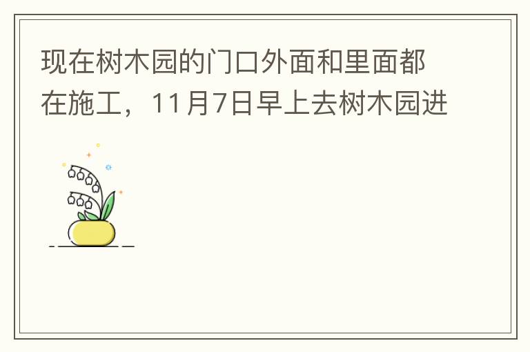 現(xiàn)在樹(shù)木園的門(mén)口外面和里面都在施工，11月7日早上去樹(shù)木園進(jìn)行戶(hù)外活動(dòng)，在出入口都是非常大的灰塵，有挖掘機(jī)等機(jī)械在施工，但是周?chē)际腔覊m，施工方?jīng)]有做好防塵措施，而且我們走的時(shí)候，竟然還有一個(gè)人拿著掃