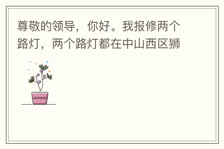 尊敬的領(lǐng)導(dǎo)，你好。我報修兩個路燈，兩個路燈都在中山西區(qū)獅滘口大橋。1.富華往濱江一號，下橋倒數(shù)第二支路燈已經(jīng)損壞。 2.濱江一號往富華方向，下橋最后一支路燈已經(jīng)損壞。麻煩及時修復(fù)，減少意外的發(fā)生。謝謝