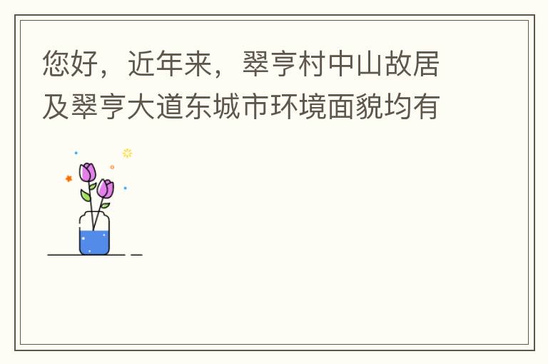 您好，近年來，翠亨村中山故居及翠亨大道東城市環(huán)境面貌均有所提升。但周邊環(huán)境仍然不夠理想，稍顯臟亂差，與5A風景區(qū)的定位不相協(xié)調，望繼續(xù)盡快改善為宜。多謝