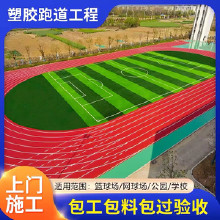 EPDM塑膠顆粒 塑膠跑道顆粒 弘晟達(dá)廠家直供多種型號